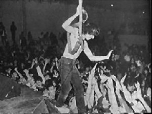 Hoyo Funky Performer